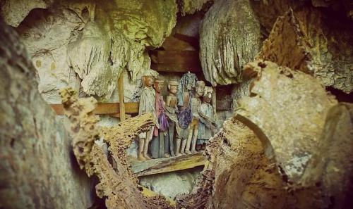 Ternyata Ini Alasan Masyarakat Toraja Kubur Jenazah Keluarganya di Tebing: Okezone Travel