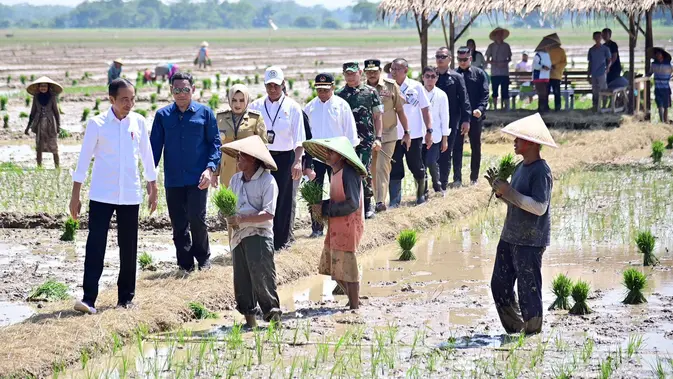 Memasuki musim hujan, Jokowi meminta para petani mulai menanam padi
